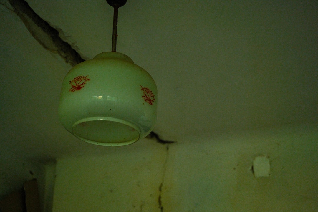 Photo ceiling lamp